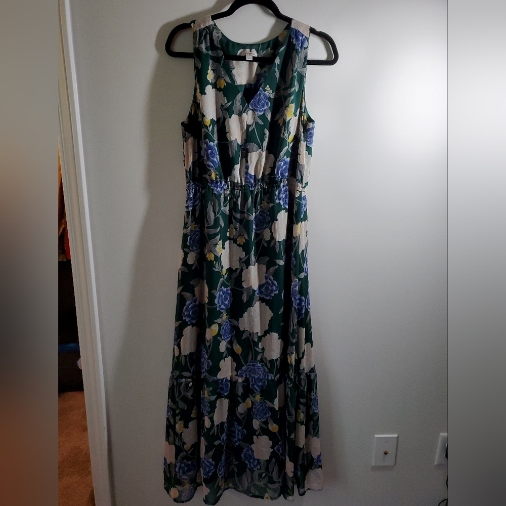 Merona Floral Sleeveless Maxi Dress - Green and Blue
